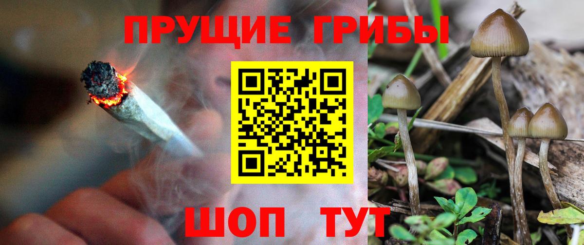 Галлюциногенные грибы прущие грибы  Вход с VPN  Полевской 