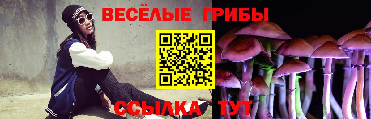 Псилоцибиновые грибы прущие грибы Полевской